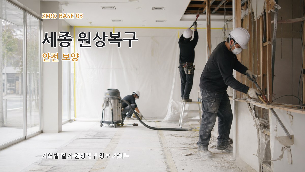 세종 원상복구 안전 보양