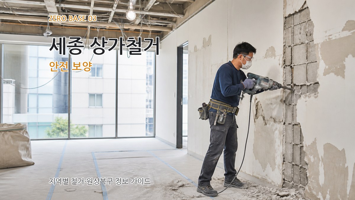 세종 상가철거 안전 보양